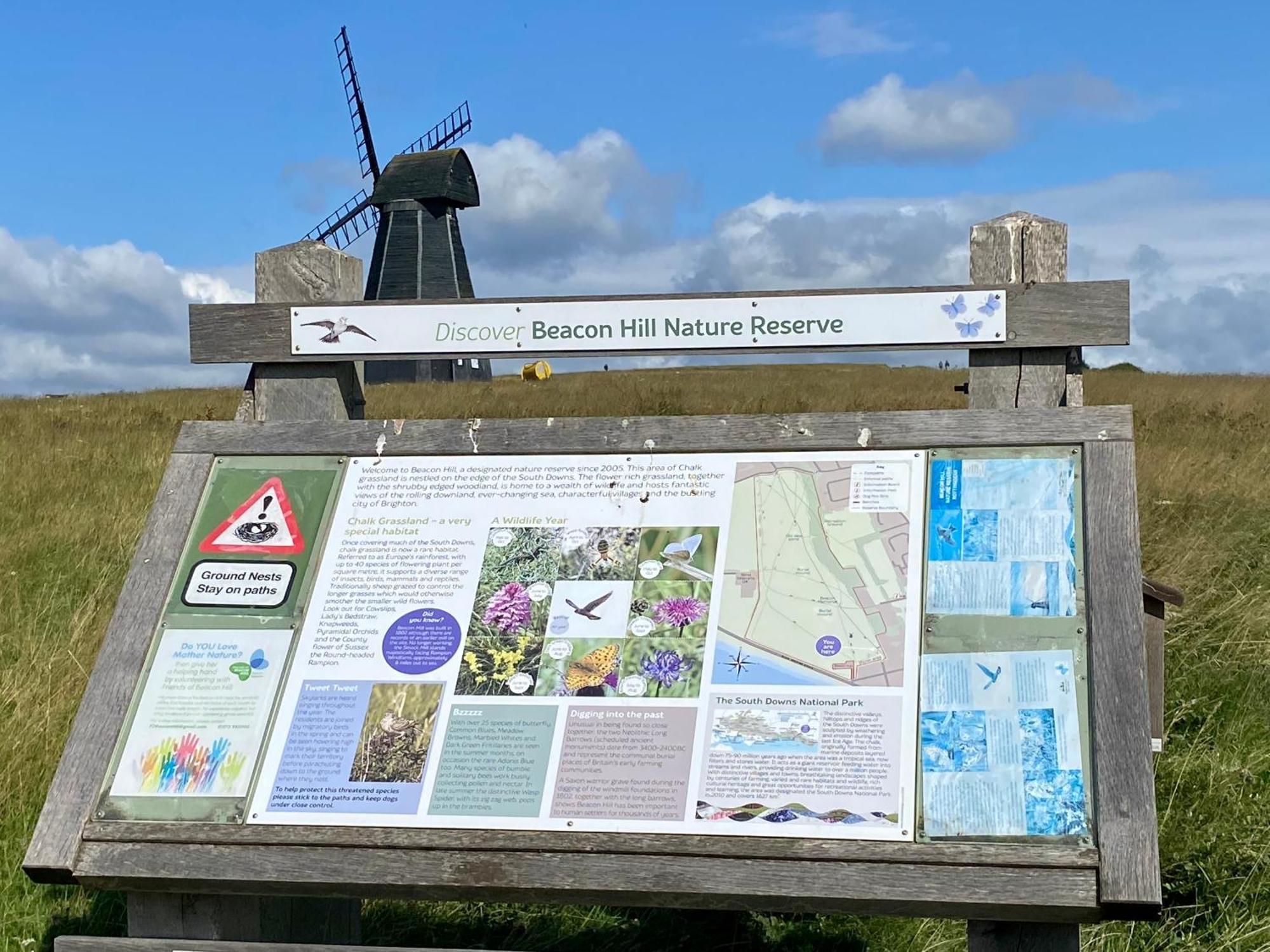 Rottingdean Boutique Studio Apartment By The Sea Brighton Luaran gambar
